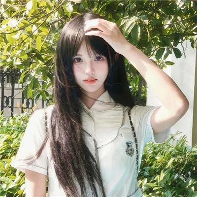 一周的朋友2017